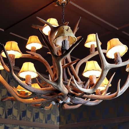 Shakespeare Hotel Surry Hills Eksteriør billede